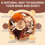 BURMA Mushroom Coffee Blend – Daily Focus Roast